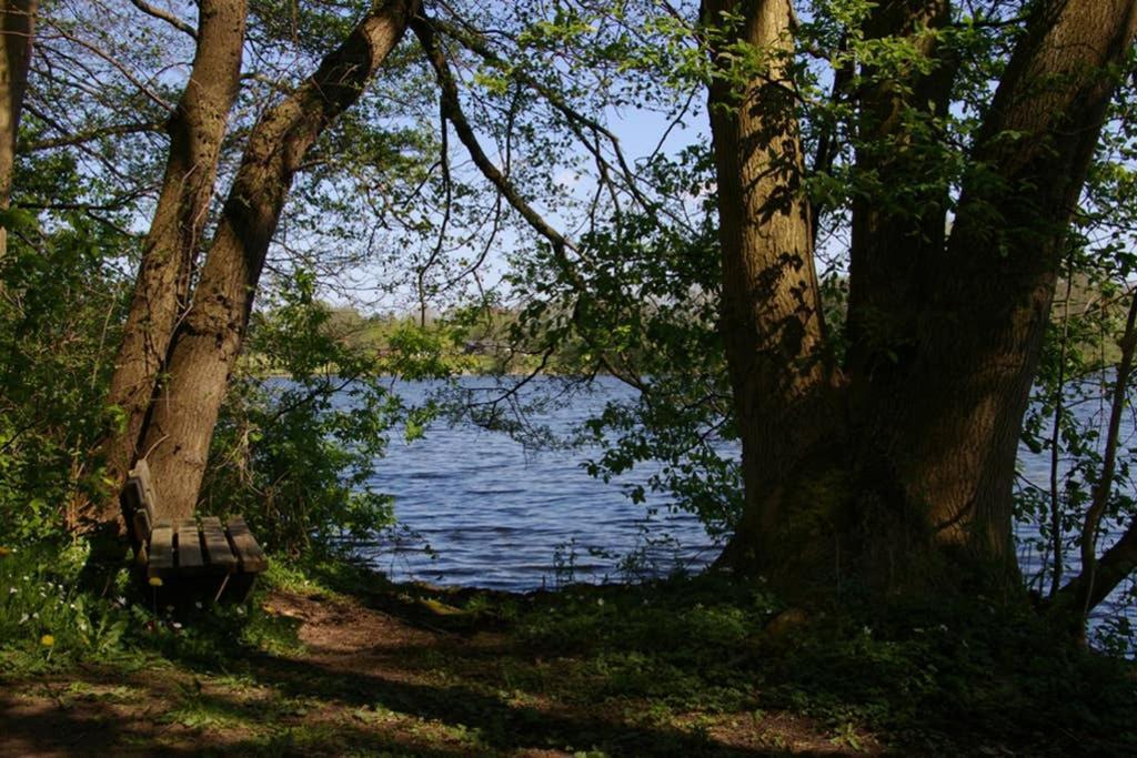 Fewo Am See 15A Klein Wittensee 外观 照片