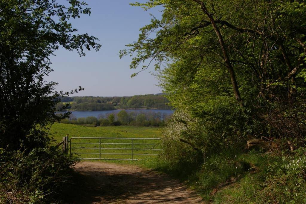 Fewo Am See 15A Klein Wittensee 外观 照片